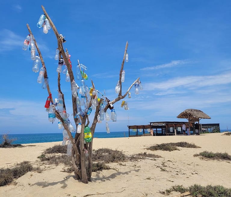 Plastic bottle tree new landmark at Bacocho